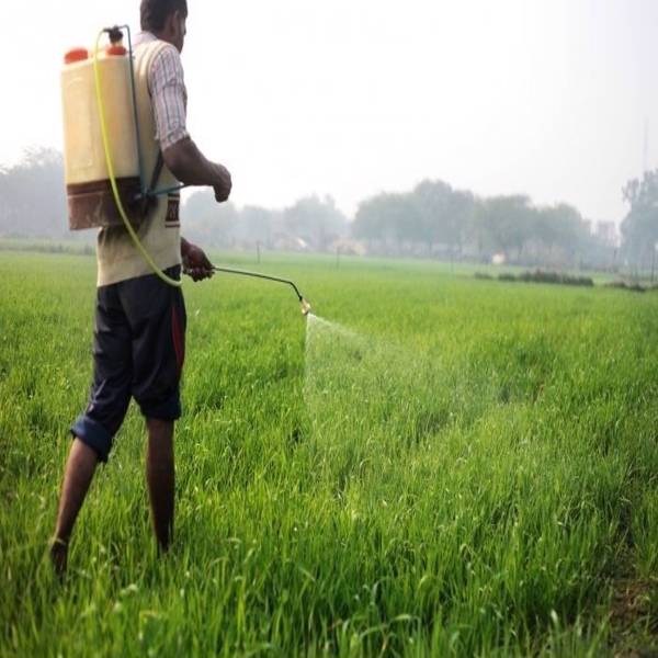 Know About One Nation One Fertilizers Scheme