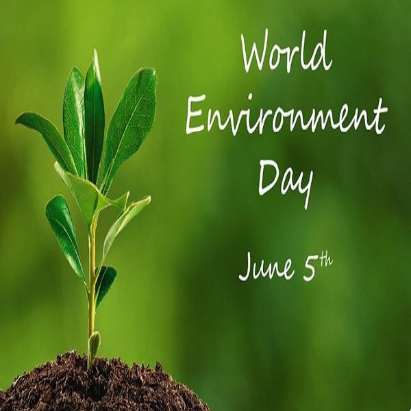 World Environment Day: Taking Action for a Sustainable Future