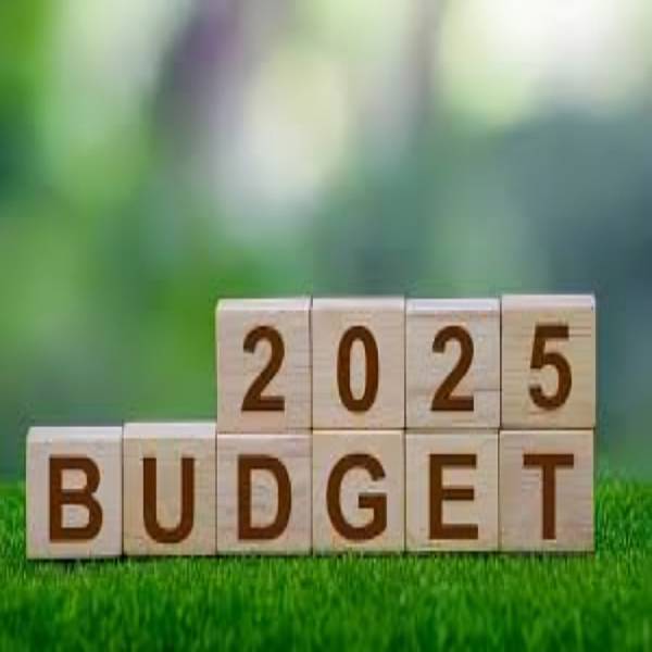 Budget 2025: Key Expectations from FM Nirmala Sitharaman